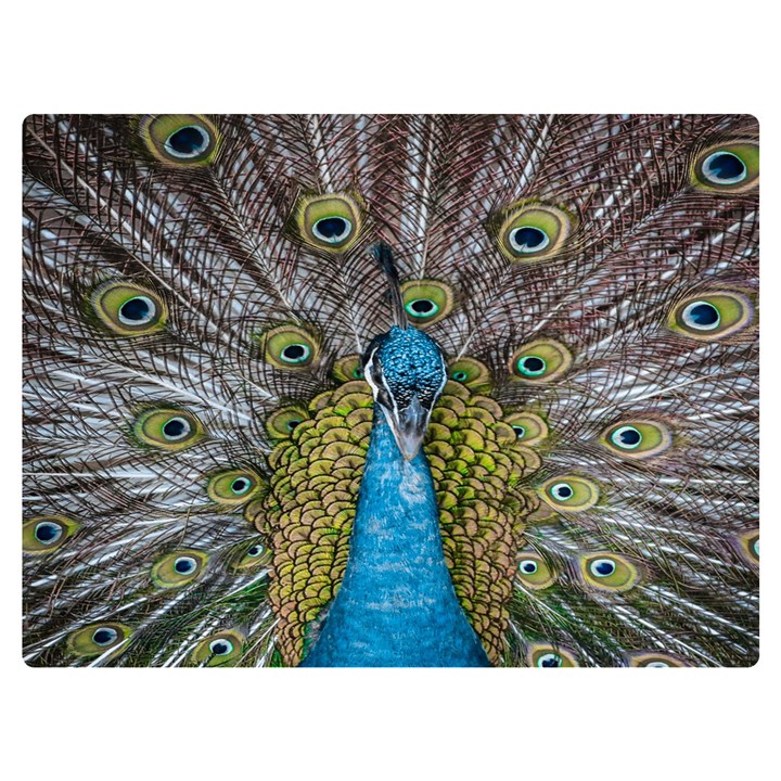 Peacock-feathers2 Two Sides Premium Plush Fleece Blanket (Extra Small)