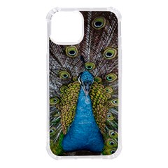 Peacock-feathers2 Iphone 14 Tpu Uv Print Case by nateshop