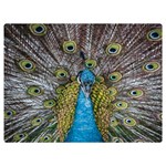 Peacock-feathers2 Two Sides Premium Plush Fleece Blanket (Extra Small) 40 x30  Blanket Back