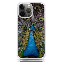 Peacock-feathers2 Iphone 13 Pro Max Tpu Uv Print Case by nateshop