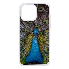 Peacock-feathers2 Iphone 14 Pro Max Tpu Uv Print Case by nateshop