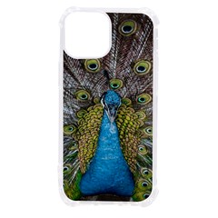 Peacock-feathers2 Iphone 13 Mini Tpu Uv Print Case by nateshop