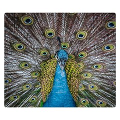 Peacock-feathers2 Premium Plush Fleece Blanket (small) by nateshop