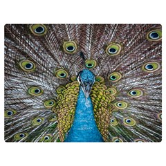 Peacock-feathers2 Two Sides Premium Plush Fleece Blanket (extra Small)