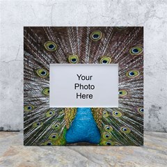 Peacock-feathers2 White Box Photo Frame 4  X 6  by nateshop