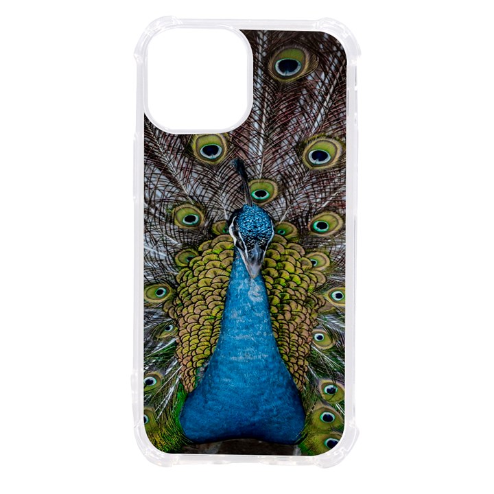 Peacock-feathers2 iPhone 13 mini TPU UV Print Case