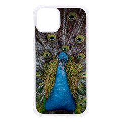 Peacock-feathers2 Iphone 13 Tpu Uv Print Case by nateshop