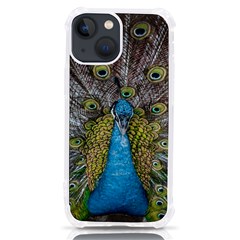 Peacock-feathers2 Iphone 13 Mini Tpu Uv Print Case by nateshop