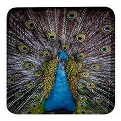 Peacock-feathers2 Square Glass Fridge Magnet (4 Pack) by nateshop