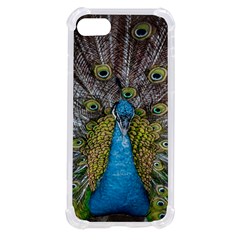 Peacock-feathers2 Iphone Se by nateshop