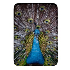 Peacock-feathers2 Rectangular Glass Fridge Magnet (4 Pack) by nateshop