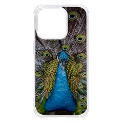 Peacock-feathers2 Iphone 14 Pro Tpu Uv Print Case by nateshop