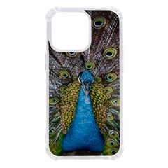 Peacock-feathers2 Iphone 13 Pro Tpu Uv Print Case by nateshop