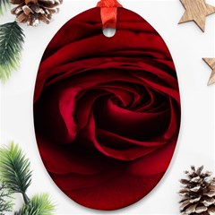 Rose Maroon Ornament (oval)