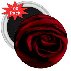 Rose Maroon 3  Magnets (100 Pack) by nateshop