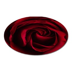 Rose Maroon Oval Magnet by nateshop