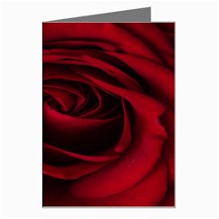 Rose Maroon Greeting Card by nateshop