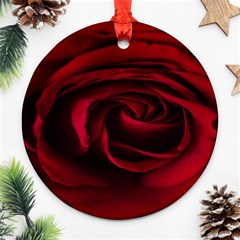 Rose Maroon Round Ornament (two Sides) by nateshop