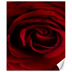 Rose Maroon Canvas 20  X 24  by nateshop