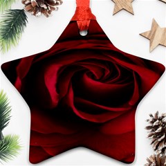 Rose Maroon Star Ornament (two Sides) by nateshop