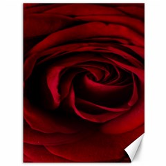 Rose Maroon Canvas 36  X 48  by nateshop