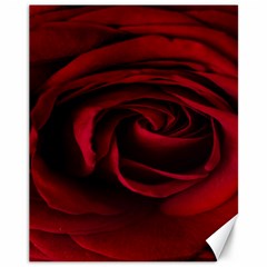 Rose Maroon Canvas 11  X 14  by nateshop