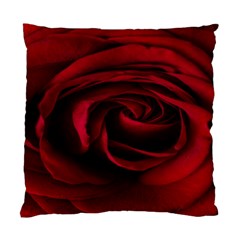 Rose Maroon Standard Cushion Case (one Side) by nateshop