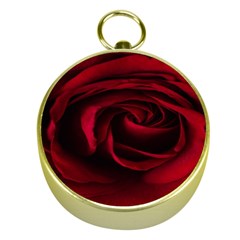 Rose Maroon Gold Compasses by nateshop