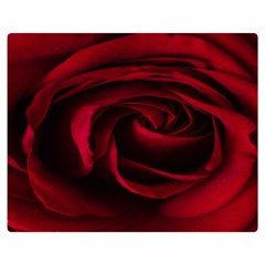 Rose Maroon Two Sides Premium Plush Fleece Blanket (medium) by nateshop