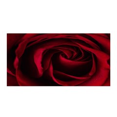 Rose Maroon Satin Wrap 35  X 70  by nateshop