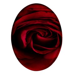 Rose Maroon Oval Glass Fridge Magnet (4 Pack)