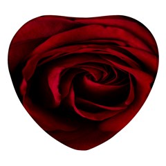 Rose Maroon Heart Glass Fridge Magnet (4 Pack)