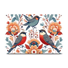 Birds Plate Mats by Valentinaart