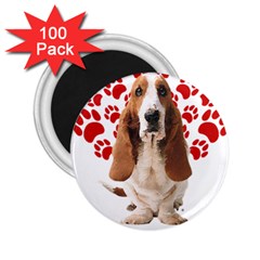 Basset Hound Gift T- Shirt Funny Basset Hound Valentine Heart Paw Basset Hound Dog Lover Valentine C Yoga Reflexion Pose T- Shirtyoga Reflexion Pose T- Shirt 2 25  Magnets (100 Pack)  by hizuto