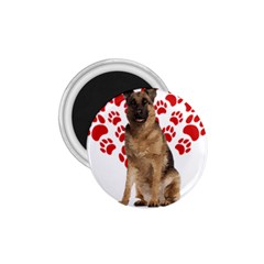 Belgian Malinois Gift T- Shirt Cool Belgian Malinois Valentine Heart Paw Belgian Malinois Dog Lover Yoga Reflexion Pose T- Shirtyoga Reflexion Pose T- Shirt 1 75  Magnets by hizuto