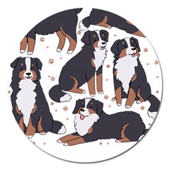 Bernese Mountain Dog T- Shirtbernese Mountain Dog Illustration T- Shirt Yoga Reflexion Pose T- Shirtyoga Reflexion Pose T- Shirt Magnet 5  (round) by hizuto