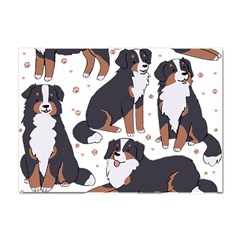 Bernese Mountain Dog T- Shirtbernese Mountain Dog Illustration T- Shirt Yoga Reflexion Pose T- Shirtyoga Reflexion Pose T- Shirt Crystal Sticker (a4) by hizuto