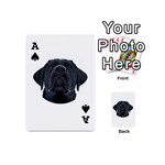 Best Dog Dad Ever T- Shirt Best Dog Dad  Ever T- Shirt Yoga Reflexion Pose T- Shirtyoga Reflexion Pose T- Shirt Playing Cards 54 Designs (Mini) Front - SpadeA