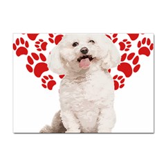 Bichon Frise Gift T- Shirt Cool Bichon Frise Valentine Heart Paw Bichon Frise Dog Lover Valentine Co Yoga Reflexion Pose T- Shirtyoga Reflexion Pose T- Shirt Sticker A4 (10 Pack) by hizuto