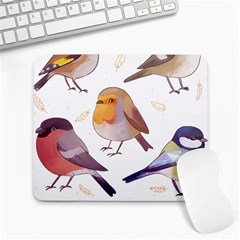 Birds Illustration T- Shirt Cute European Birds Illustration T- Shirt Yoga Reflexion Pose T- Shirtyoga Reflexion Pose T- Shirt Large Mousepad by hizuto