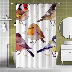 Birds Illustration T- Shirt Cute European Birds Illustration T- Shirt Yoga Reflexion Pose T- Shirtyoga Reflexion Pose T- Shirt Shower Curtain 48  X 72  (small)  by hizuto