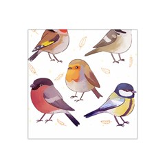 Birds Illustration T- Shirt Cute European Birds Illustration T- Shirt Yoga Reflexion Pose T- Shirtyoga Reflexion Pose T- Shirt Satin Bandana Scarf 22  X 22  by hizuto