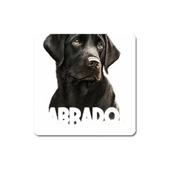 Black Labrador T- Shirt Black Labrador - Labrador Mom T- Shirt (1) Yoga Reflexion Pose T- Shirtyoga Reflexion Pose T- Shirt Square Magnet by hizuto