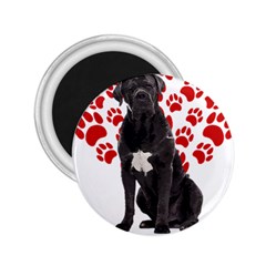 Cane Corso Gifts T- Shirt Cool Cane Corso Valentine Heart Paw Cane Corso Dog Lover Valentine Costume Yoga Reflexion Pose T- Shirtyoga Reflexion Pose T- Shirt 2 25  Magnets by hizuto