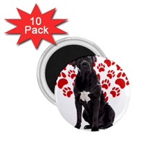 Cane Corso Gifts T- Shirt Cool Cane Corso Valentine Heart Paw Cane Corso Dog Lover Valentine Costume Yoga Reflexion Pose T- Shirtyoga Reflexion Pose T- Shirt 1 75  Magnets (10 Pack)  by hizuto