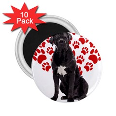 Cane Corso Gifts T- Shirt Cool Cane Corso Valentine Heart Paw Cane Corso Dog Lover Valentine Costume Yoga Reflexion Pose T- Shirtyoga Reflexion Pose T- Shirt 2 25  Magnets (10 Pack)  by hizuto