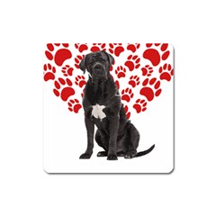 Cane Corso Gifts T- Shirt Cool Cane Corso Valentine Heart Paw Cane Corso Dog Lover Valentine Costume Yoga Reflexion Pose T- Shirtyoga Reflexion Pose T- Shirt Square Magnet by hizuto