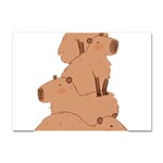 Capybara Art T- Shirt Capybara Pile - A Cute Stack Of Capybaras T- Shirt Yoga Reflexion Pose T- Shirtyoga Reflexion Pose T- Shirt Crystal Sticker (A4) Front