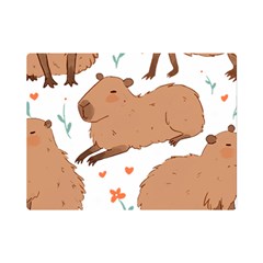 Capybara Art T- Shirt Cute Capybaras Illustration T- Shirt Yoga Reflexion Pose T- Shirtyoga Reflexion Pose T- Shirt Premium Plush Fleece Blanket (mini) by hizuto