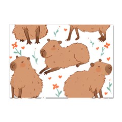 Capybara Art T- Shirt Cute Capybaras Illustration T- Shirt Yoga Reflexion Pose T- Shirtyoga Reflexion Pose T- Shirt Crystal Sticker (a4) by hizuto